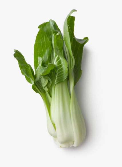 Asian Greens, Bok choy